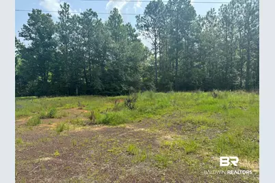 0 Nokomis Road, Walnut Hill, FL 32568 - Photo 45