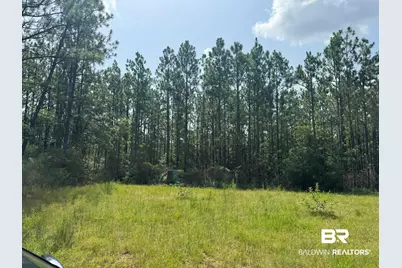 0 Nokomis Road, Walnut Hill, FL 32568 - Photo 17