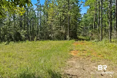 0 Nokomis Road, Walnut Hill, FL 32568 - Photo 23