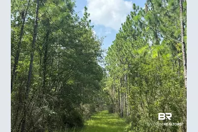 0 Nokomis Road, Walnut Hill, FL 32568 - Photo 35