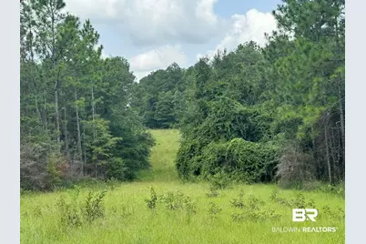0 Nokomis Road, Walnut Hill, FL 32568 - Photo 31