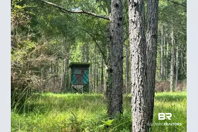 0 Nokomis Road, Walnut Hill, FL 32568 - Photo 3