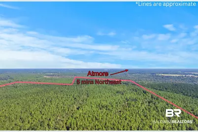 0 Nokomis Road, Walnut Hill, FL 32568 - Photo 21