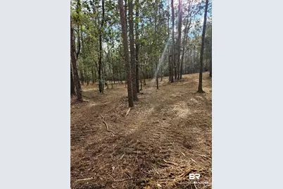 11040 County Road 138, Bay Minette, AL 36507 - Photo 5