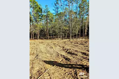 11040 County Road 138, Bay Minette, AL 36507 - Photo 1