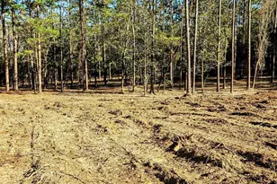 11040 Co Rd 138, Bay Minette, AL 36507 - Photo 1