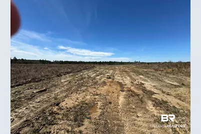 8 County Road 64, Robertsdale, AL 36567 - Photo 25