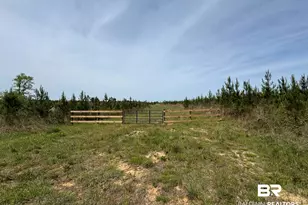8 County Road 64, Robertsdale, AL 36567 - Photo 1