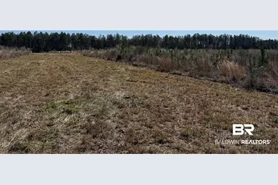 8 County Road 64, Robertsdale, AL 36567 - Photo 17