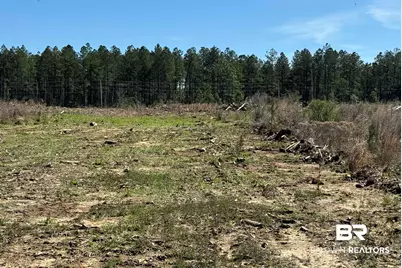 8 County Road 64, Robertsdale, AL 36567 - Photo 11