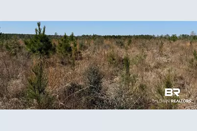8 County Road 64, Robertsdale, AL 36567 - Photo 21