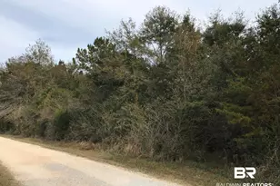 24050 N River Rd, Daphne, AL 36526 - Photo 1