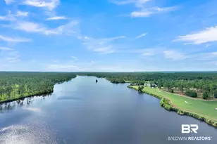 33579 Steelwood Ridge Rd, Loxley, AL 36551 - Photo 19