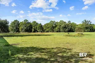 22506 Doc McDuffie Rd, Foley, AL 36535 - Photo 59