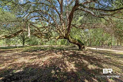 22506 Doc McDuffie Road, Foley, AL 36535 - Photo 47