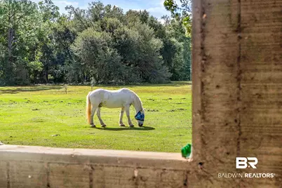 22506 Doc McDuffie Road, Foley, AL 36535 - Photo 57