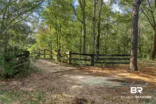 22506 Doc McDuffie Rd, Foley, AL 36535 - Photo 49
