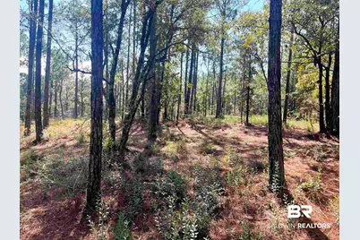 0 State Highway 225, Bay Minette, AL 36507 - Photo 3