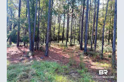 0 State Highway 225, Bay Minette, AL 36507 - Photo 7