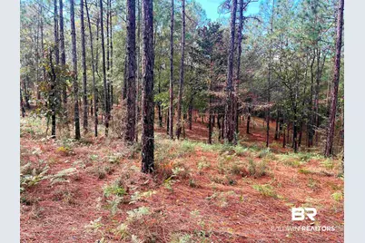 0 State Highway 225, Bay Minette, AL 36507 - Photo 1