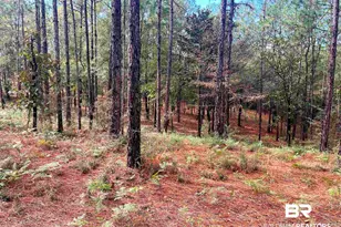 0 State Hwy 225, Bay Minette, AL 36507 - Photo 1
