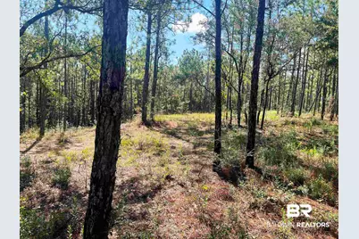 0 State Highway 225, Bay Minette, AL 36507 - Photo 5