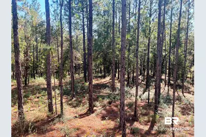 0 State Highway 225, Bay Minette, AL 36507 - Photo 9