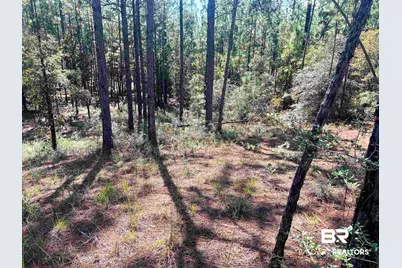 0 State Highway 225, Bay Minette, AL 36507 - Photo 5
