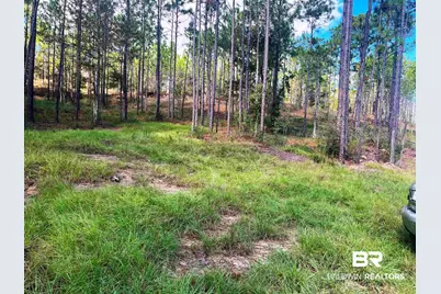 0 State Highway 225, Bay Minette, AL 36507 - Photo 13
