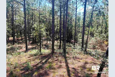 0 State Highway 225, Bay Minette, AL 36507 - Photo 3