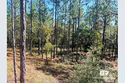 0 State Highway 225, Bay Minette, AL 36507 - Photo 7