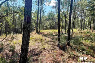 0 State Hwy 225, Bay Minette, AL 36507 - Photo 1