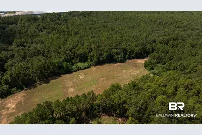 106 US Highway 31, Bay Minette, AL 36507 - Photo 9