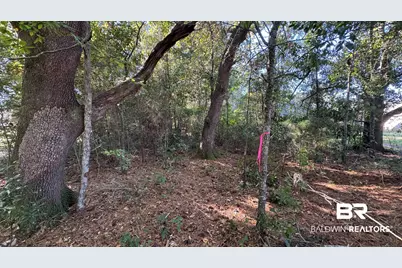 0 Red Eagle Drive, Daphne, AL 36526 - Photo 7