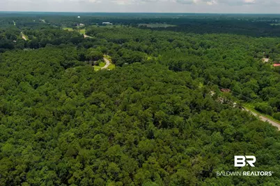 0 Schillinger Road, Mobile, AL 36695 - Photo 25