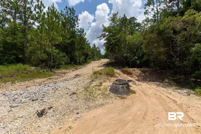 0 Schillinger Road, Mobile, AL 36695 - Photo 21