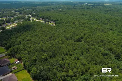 0 Schillinger Road, Mobile, AL 36695 - Photo 15