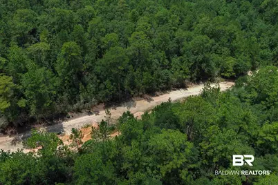 0 Schillinger Road, Mobile, AL 36695 - Photo 23
