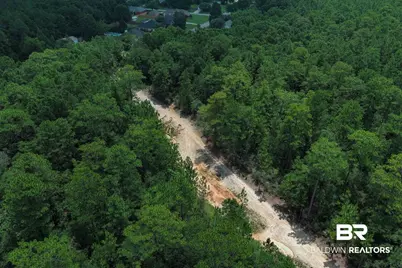 0 Schillinger Road, Mobile, AL 36695 - Photo 3