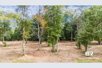 0 E Azalea Avenue, Foley, AL 36535 - Photo 19