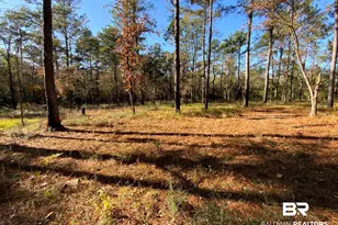 10 Drinkard Rd, Bay Minette, AL 36507 - Photo 1