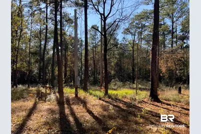 10 Drinkard Road, Bay Minette, AL 36507 - Photo 5