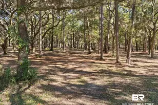 12800 Oak Tree Dr, Foley, AL 36535 - Photo 67