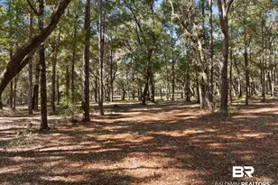 12800 Oak Tree Dr, Foley, AL 36535 - Photo 69
