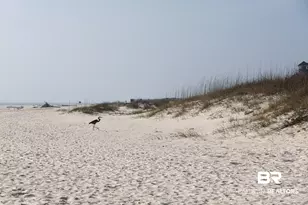 453 Dune Dr, Gulf Shores, AL 36542 - Photo 35