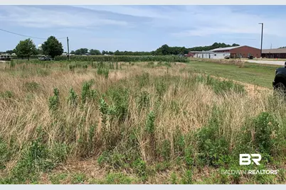 1 County Road 54, Daphne, AL 36526 - Photo 1