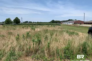 1 County Road 54, Daphne, AL 36526 - Photo 1