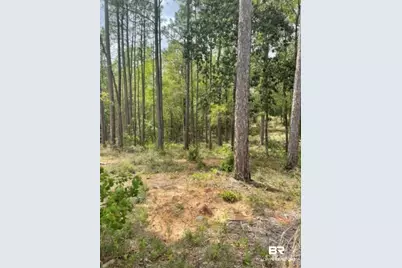 0 Elderberry Drive, Daphne, AL 36526 - Photo 1