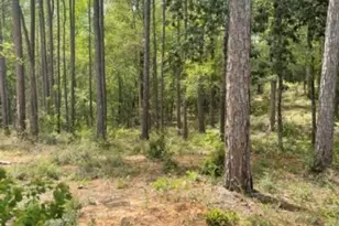 0 Elderberry Dr, Daphne, AL 36526 - Photo 1