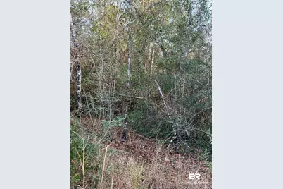 0 Jimmy Faulkner Drive, Spanish Fort, AL 36527 - Photo 5
